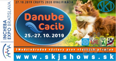 Medzinárodná výstava psov - 3x CACIB FCI Bratislava