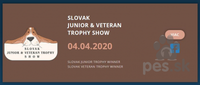 Slovak junior a veteran trophy show - Bratislava