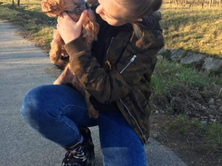 , Venčenie psov Pezinok