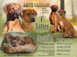 , Rhodesian ridgeback