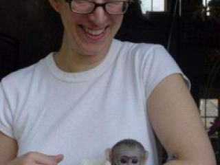 , Adorable baby monkeys available for sale/adoption WhatsApp Number:+1 (870) 517-7223 