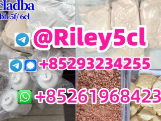 , 5cladba powder 5cladba adbb 5cladba With Lowest Price And Fast Delivery