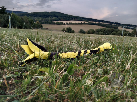 , Hračky pre psa-sada dvoch preťahovadiel