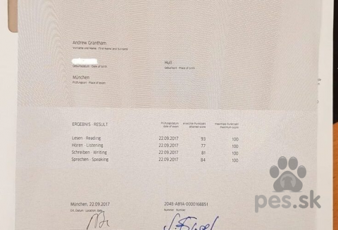 , Buy Telc Deutsch B2 Exam in Berlin WhatsApp(+371 204 33160)Buy TELC-GOETHE Zertifikat 