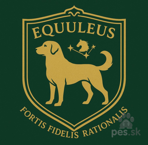 Pinče, bradáče, molosoidy a švajčiarske salašnícke psy, Šteniatka Kangal s PP