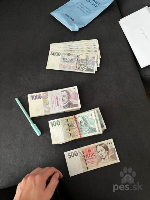 Ovčiaky a pastierske psy, Rychlá a flexibilní finanční podpora k dispozici