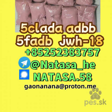 Pinče, bradáče, molosoidy a švajčiarske salašnícke psy, buy 5cl 5cladba precursor yellow powder best supplier