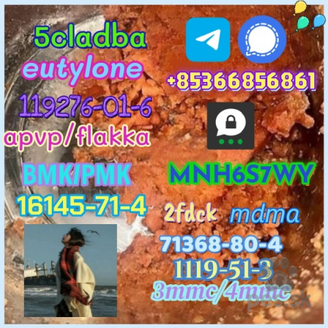 Pinče, bradáče, molosoidy a švajčiarske salašnícke psy, Safe delivery apvp/flakka factory supply eutylone