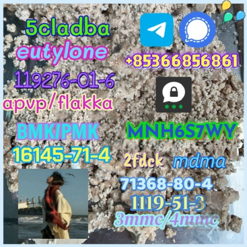 Spoločenské a sprievodné psy, Safe delivery apvp flakka factory supply eutylone