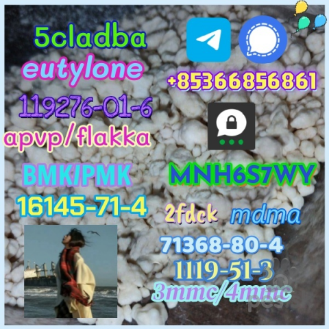 Ovčiaky a pastierske psy, 5cladba 1kg/500g sample raw material for sale