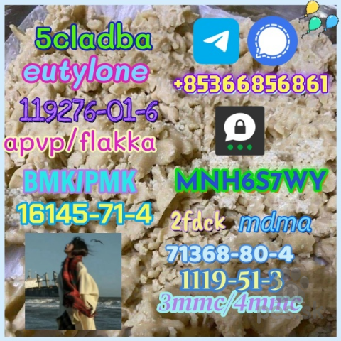 Ovčiaky a pastierske psy, 5cladba 1kg/500g sample raw material for sale