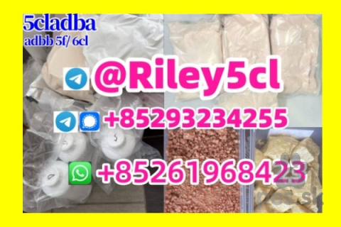 Spoločenské a sprievodné psy, 5caldb adbb raw material 5f adbb 4fadbb raw material 5cladba precursor    