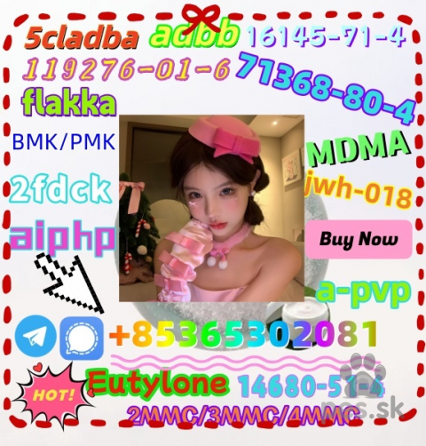 Spoločenské a sprievodné psy, Do you want to buy BMK PMKpowder