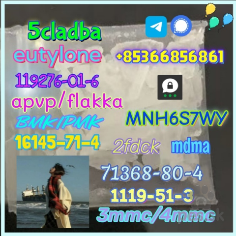 Pinče, bradáče, molosoidy a švajčiarske salašnícke psy, Safe delivery apvp/flakka factory supply eutylone