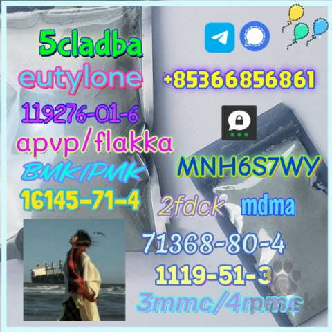 Špice a primitívne typy, 5cladba 1kg/500g sample raw material for sale