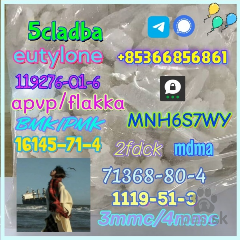 Pinče, bradáče, molosoidy a švajčiarske salašnícke psy, Safe delivery apvp flakka factory supply eutylone