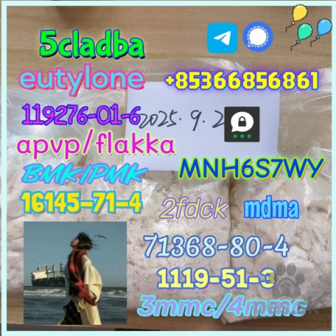 Špice a primitívne typy, 5cladba 1kg/500g sample raw material for sale