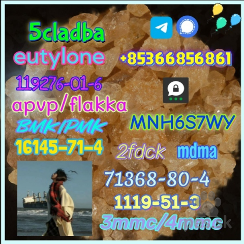 Spoločenské a sprievodné psy, 16145-71-4, best-selling, factory supply, safe delivery.