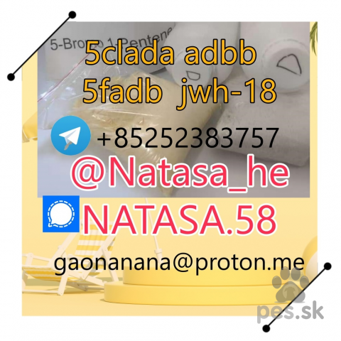 Pinče, bradáče, molosoidy a švajčiarske salašnícke psy, 5cl 5cladba precursor yellow powder best supplier protonitazene CAS 119276-01-6