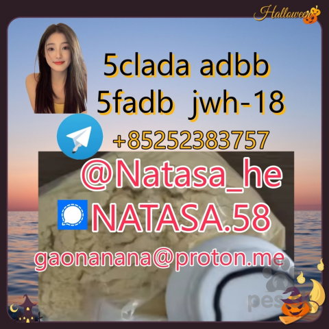 Špice a primitívne typy,  5CL-ADBA protonitazene CAS 119276-01-6 Xylazine 