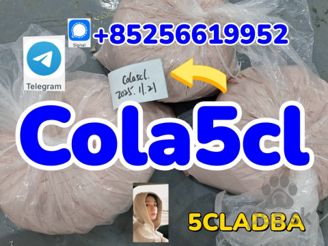 Jazvečíky, 5cladba jwh018 5CL-ADB-A 5F-adb adbb Strong Cannabinoid