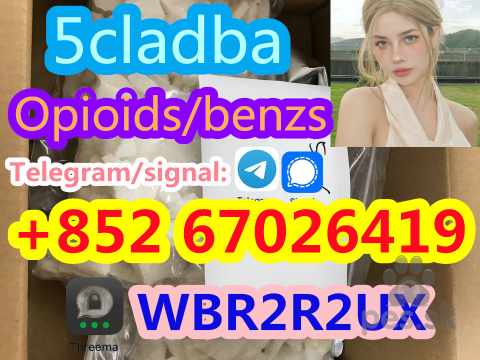 Ovčiaky a pastierske psy, 5CL-ADB powder 5cl adb 5CL 5cladba 5cl raw materials