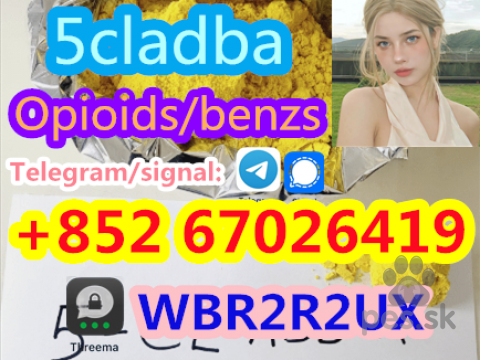 Jazvečíky, 5CL-ADB-A 5CLADBA 5F-ADB High quality 5FADB 5CLADBA