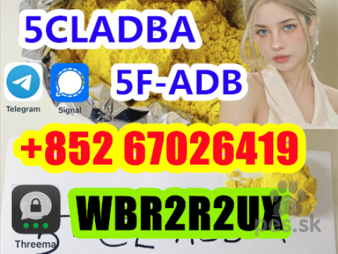 Retrívre, sliediče a vodné psy, Raw material 5cladba best cannabinoid 5cladba precursor