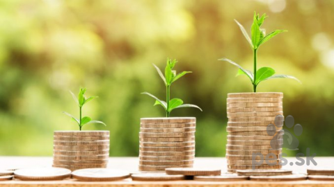 Špice a primitívne typy, mariorivine