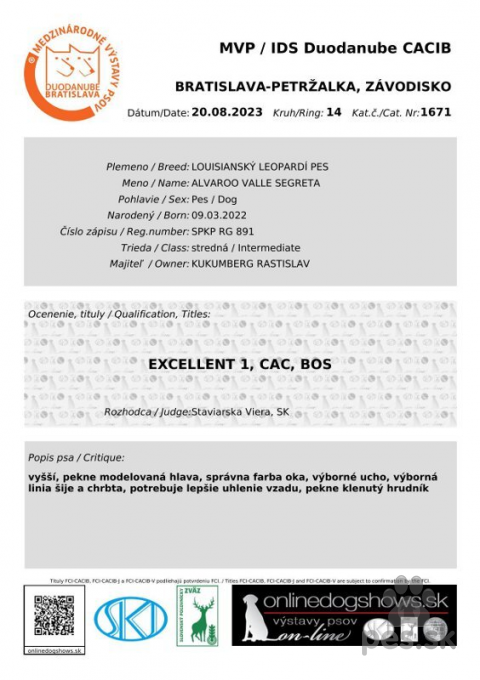 Neuznané plemená a krížence, Chovný pes / catahoula louisiana leopard dog: Alvaroo Valle Segreta 