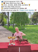 , Krátkosrsté jazvečíky 