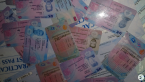 , Five Days Driver's Licence Online 