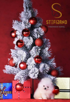 Špice a primitívne typy, NEMECKÝ ŠPIC MALÝ