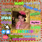 Pinče, bradáče, molosoidy a švajčiarske salašnícke psy, CAO DE CASTRO LABOREIRO