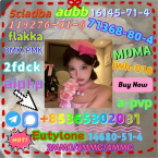 Jazvečíky, JAZVEČÍK KRÁLIČÍ HLADKOSRSTÝ