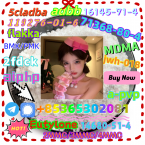 Jazvečíky, JAZVEČÍK ŠTANDARDNÝ HLADKOSRSTÝ