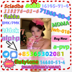 Jazvečíky, JAZVEČÍK ŠTANDARDNÝ HLADKOSRSTÝ