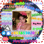 Jazvečíky, JAZVEČÍK ŠTANDARDNÝ HLADKOSRSTÝ