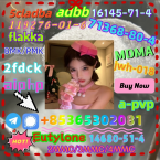 Stavače, MODRÝ PIKARDSKÝ ŠPANIEL