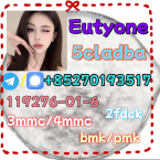 Ovčiaky a pastierske psy, HOLANDSKÝ PASTIERSKY PES