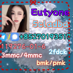 Jazvečíky, JAZVEČÍK ŠTANDARDNÝ DLHOSRSTSÝ