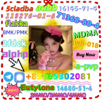 Pinče, bradáče, molosoidy a švajčiarske salašnícke psy, BULMASTIF