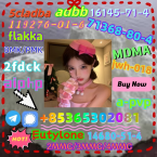 Špice a primitívne typy, KARELSKÝ MEDVEDÍ PES