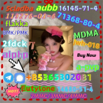 Špice a primitívne typy, KANÁRSKÝ CHRT - PODENCO