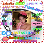 Špice a primitívne typy, GRÓNSKY PES