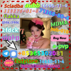 Pinče, bradáče, molosoidy a švajčiarske salašnícke psy, CANE CORSO