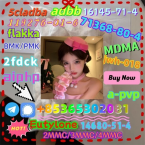 Stavače, MODRÝ PIKARDSKÝ ŠPANIEL