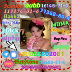 Duriče, farbiare a príbuzné plemená, BLOODHOUND