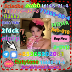 Duriče, farbiare a príbuzné plemená, DALMATÍNSKY PES