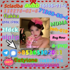 Retrívre, sliediče a vodné psy, POĽNÝ ŠPANIEL